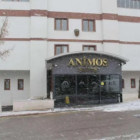 Animos Butik Apart Otel *